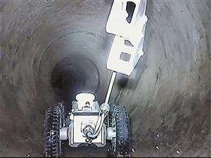 timg (1).jpg